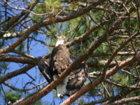 img_5045.jpg